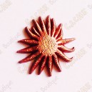 Micro Coin "Sunflower" - Bronce
