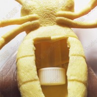Cache "Bestiole" - Grosse abeille