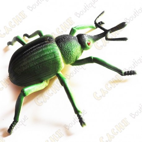 Cache "Insecto" - Gran escarabajo verde