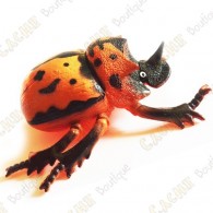 Cache "Bestiole" - Gros scarabée orange