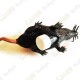 Cache "insect" - Black rat