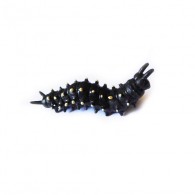 Cache "insect" - Black worm