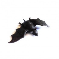 Cache "Bestiole" - Chauve-souris