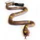 Cache "Bestiole" - Serpent