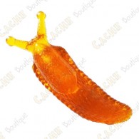 Cache "insect" - Big orange slug