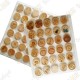 Plastic Wood coins tray - 30 fields