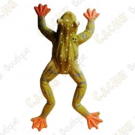Cache "insect" - Medium Toad