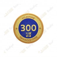 Parche  "Milestone" - 300 Finds