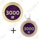 Geocoin + Travel Tag "Milestone" - 3000 Finds