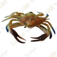 Cache "insect" - Bleu crab