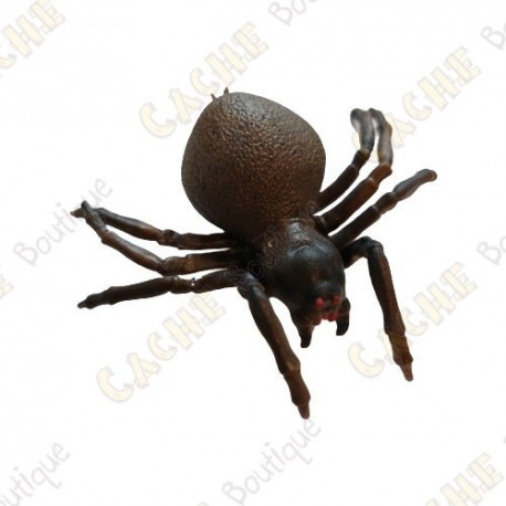 Cache "insect" - Spider