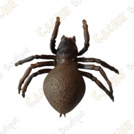 Cache "insect" - Spider