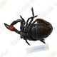 Cache "Bestiole" - Scorpion